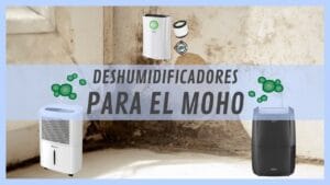 Deshumidificadores para el moho