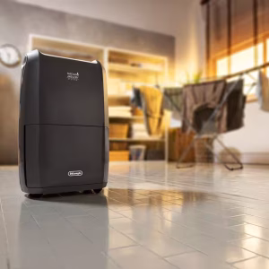 De'Longhi Deshumidificador DDSX220WFA