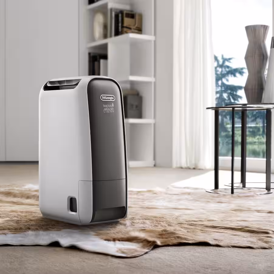De'Longhi Tasciugo AriaDry DNS65